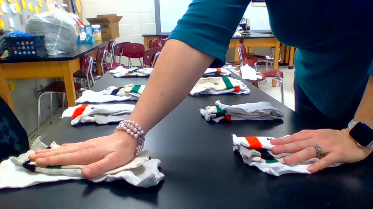 mitosis/meiosis/punnet squares with socks