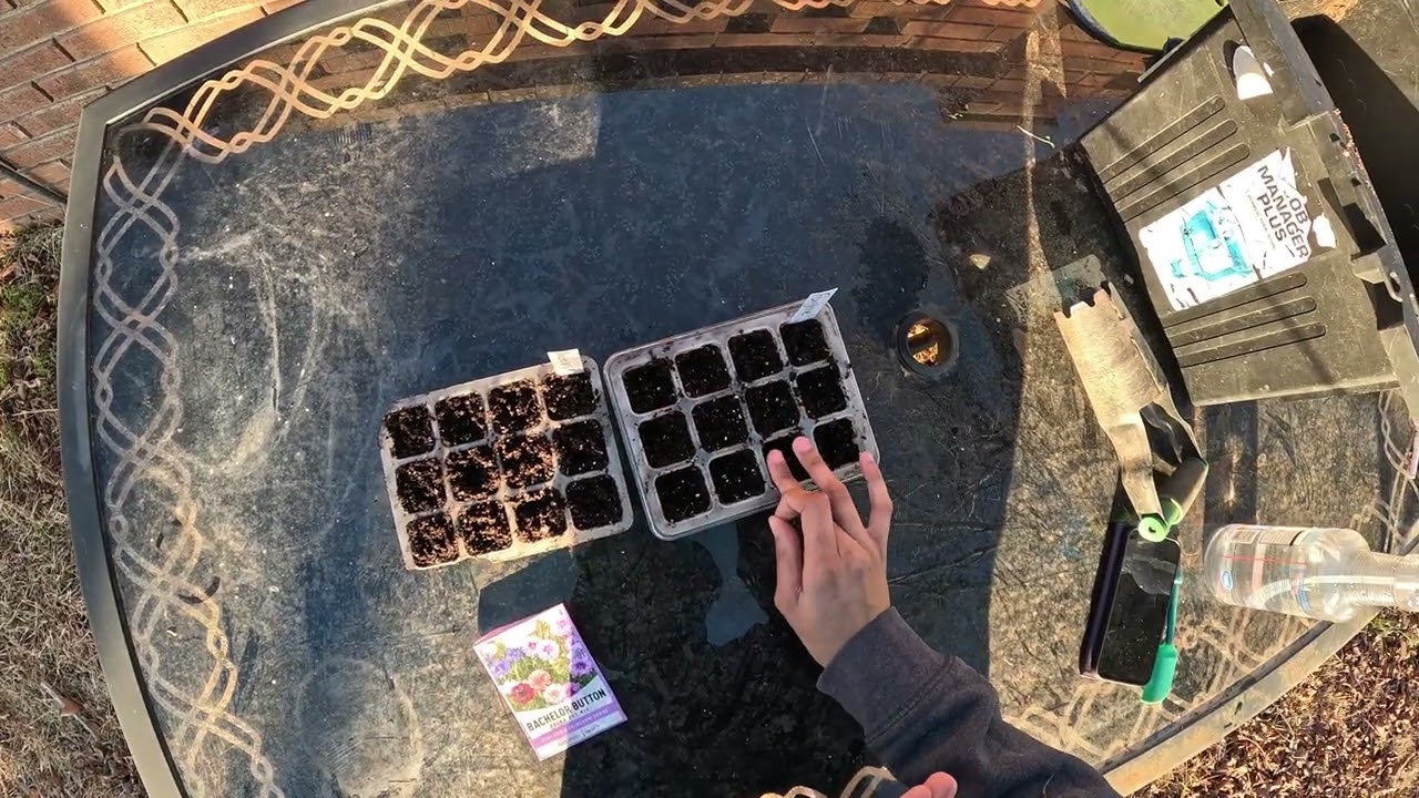 Cold-Hardy Seed Sowing | Day 24 of 365 Days of Gardening