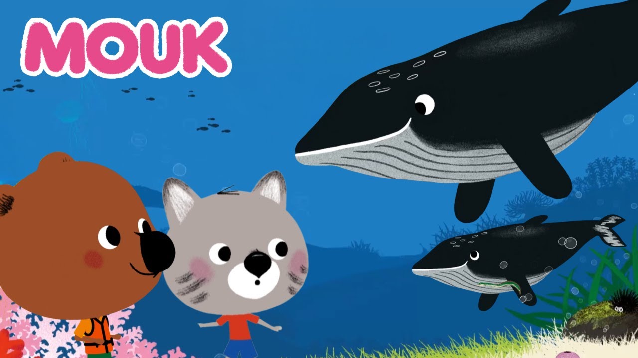 Mouk : Rencontre Magique avec une Baleine 🐳🌊