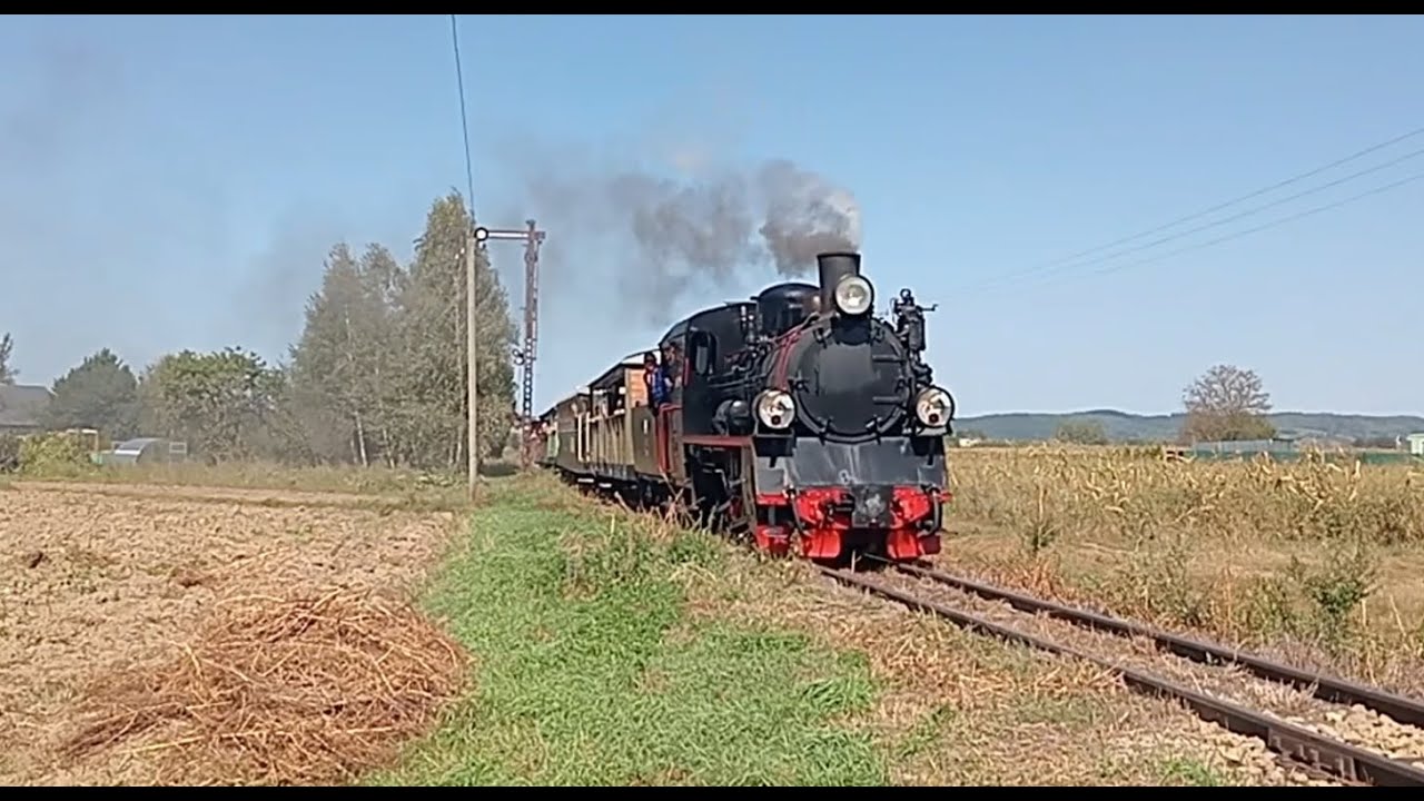 Parowóz na Przeworskiej kolejce 2024