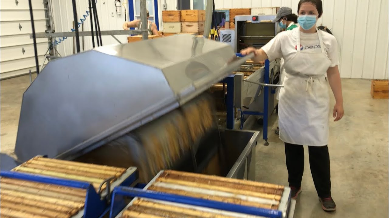 18 Barrels First Day Extracting Honey