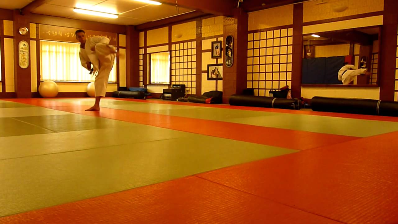 Shotokan Karate Grading 1st kyu to 1st dan Black belt Syllabus
