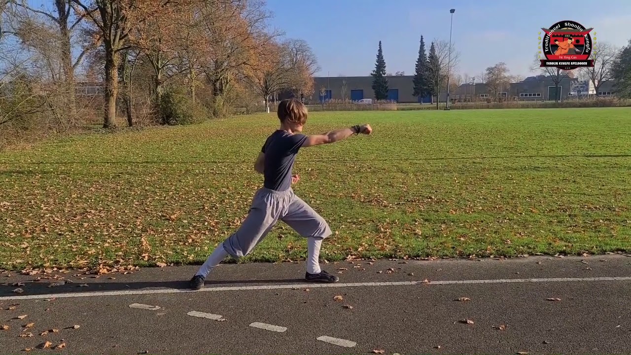 Exercise 2: Shaolin Kungfu: Mabu Gongbu | Martial Arts