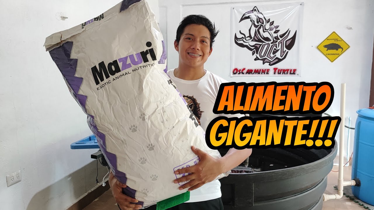 Alimento para tortugas GIGANTES - Mazuri de cocodrilo GRANDE / Mazuri Crocodilian diet-large