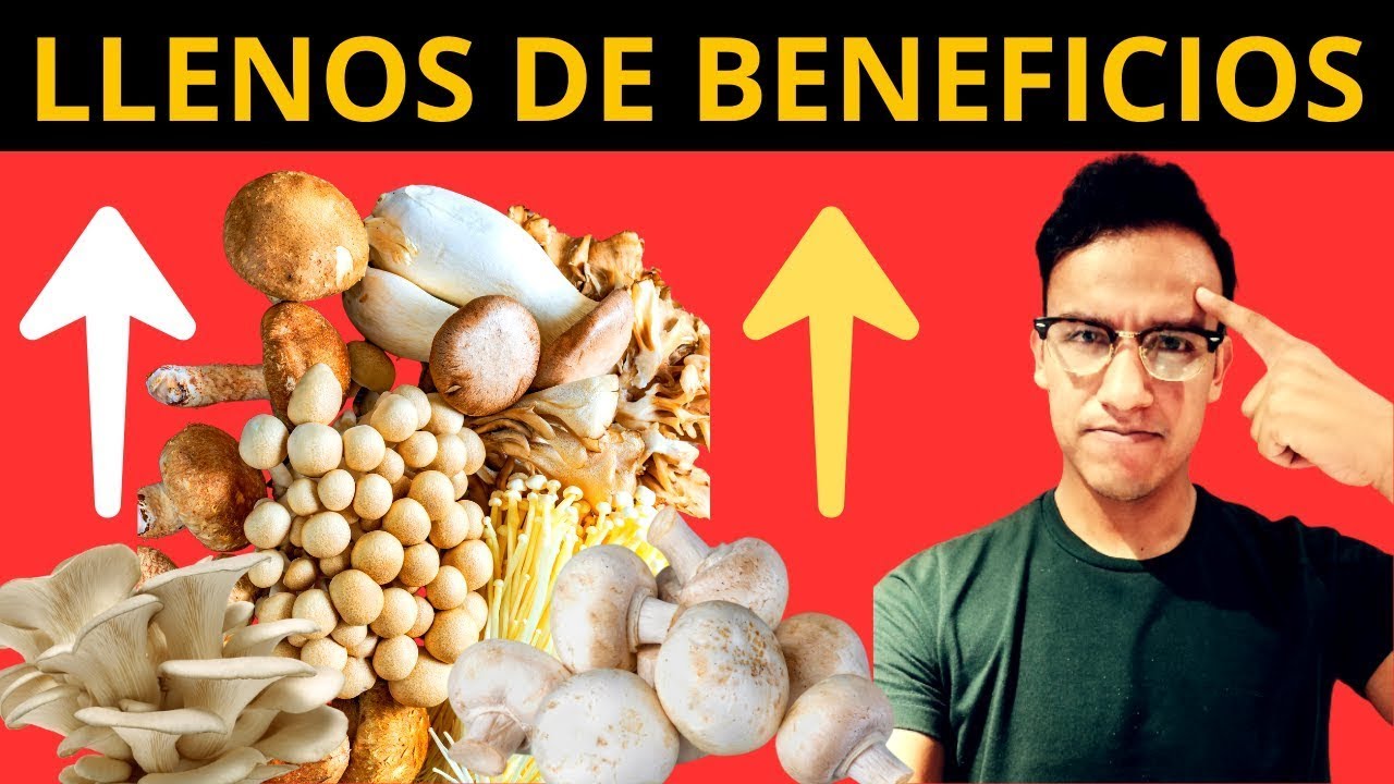 7 Grandes Beneficios de las Setas y Hongos: Champiñones