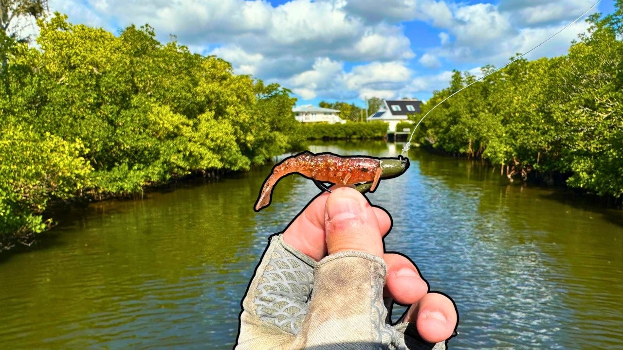 How I CRACKED the Cold Florida Canal Code (Snook & Redfish)