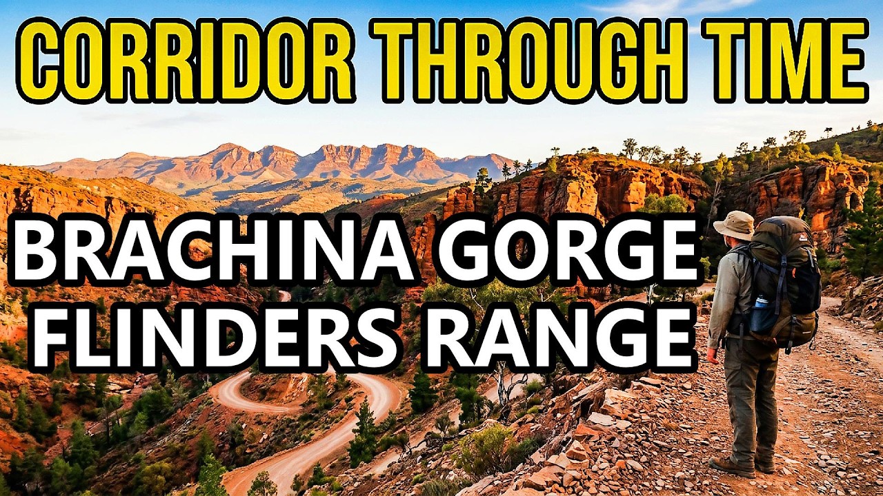 Brachina Gorge Geological Trail- Flinders Ranges, South Australia