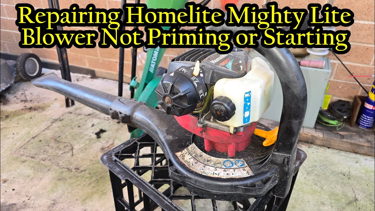 VTECH 119 -  Repairing Homelite Mighty Lite Blower Won't Start