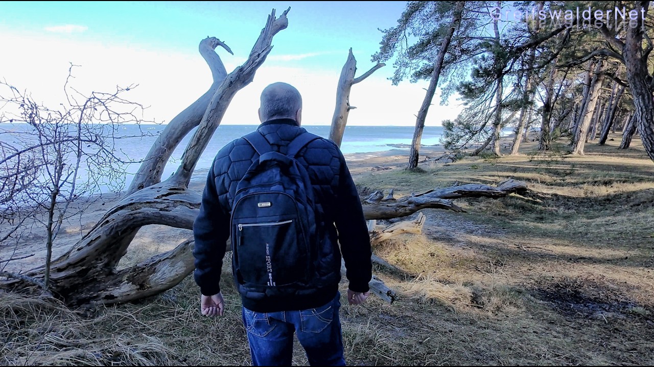 Spaziergang im Küstenwald Ludwigsburg am Greifswalder Bodden