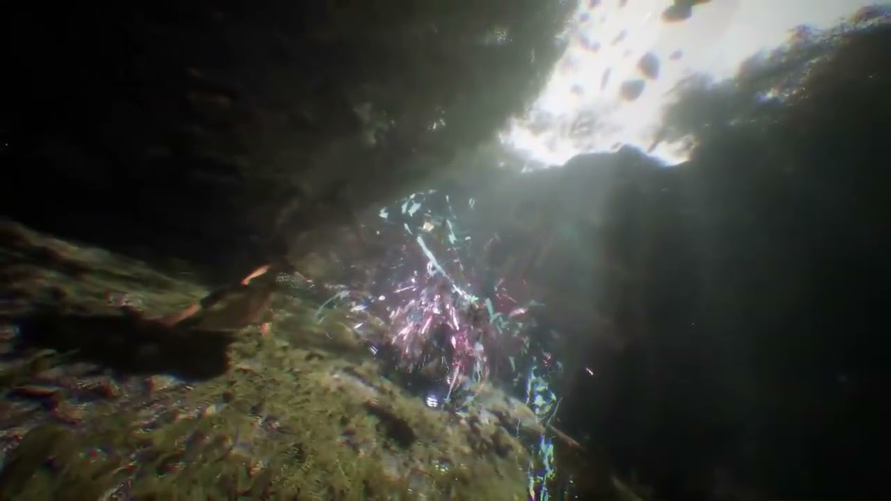 Surprise Ambush #claireobscuraexpedition33 #expedition33