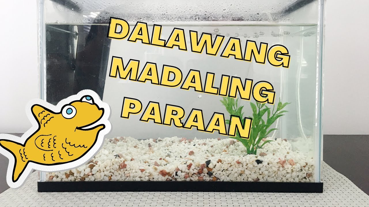 2 Madaling Paraan sa Pagtanggal ng Water Marks sa Aquarium | Raffle Winner & New Giveaway