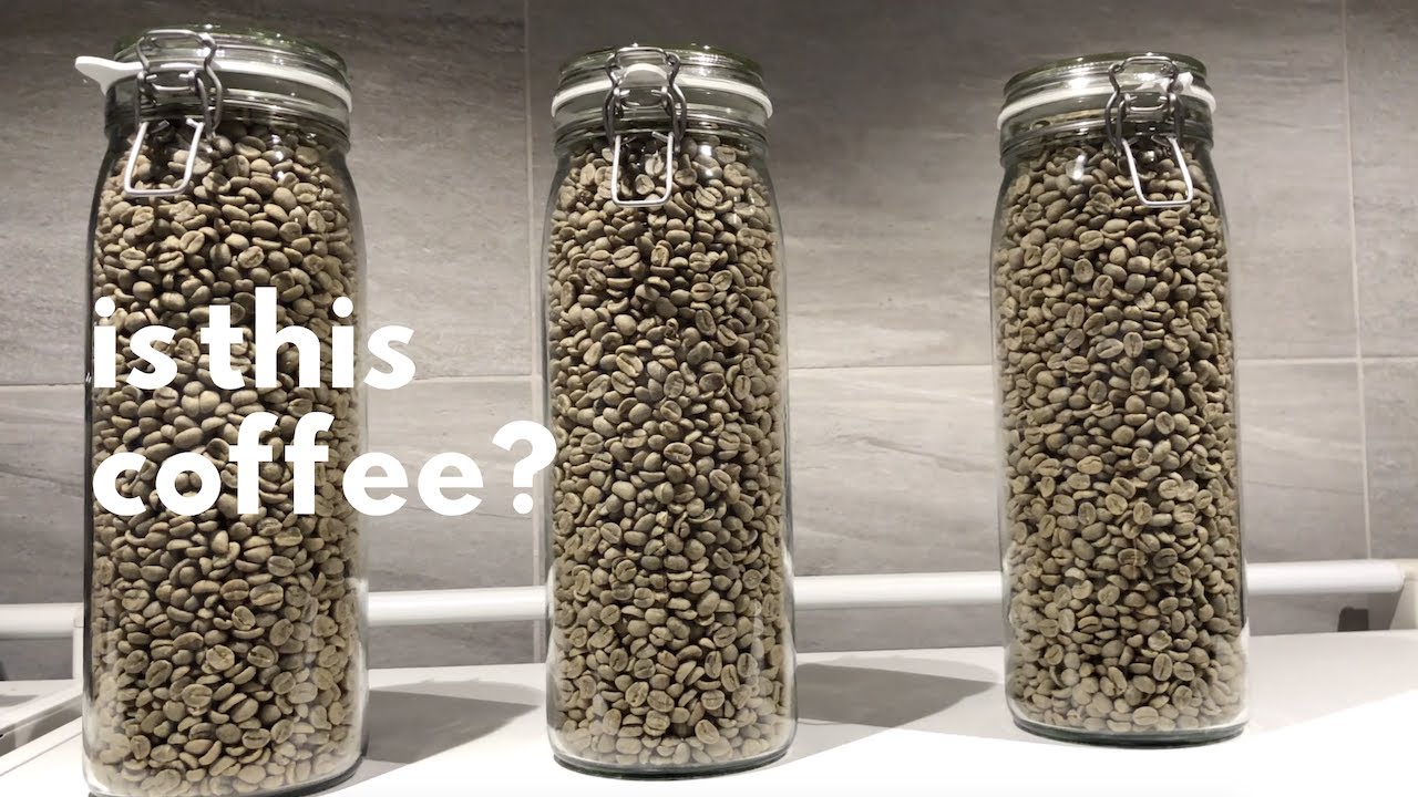 Make the best (and cheapest) lattes ever!