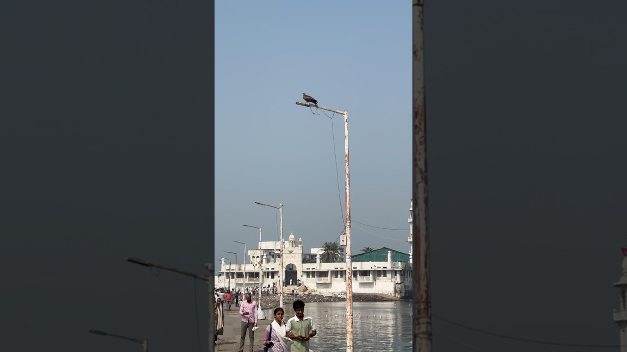 Haji Ali Baba ￼ follow karo like karo 