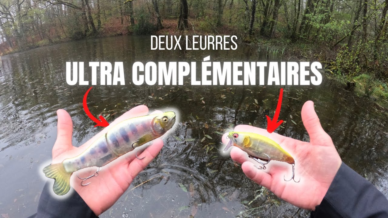 DEUX LEURRES pour le BROCHET en eau PEU PROFONDE