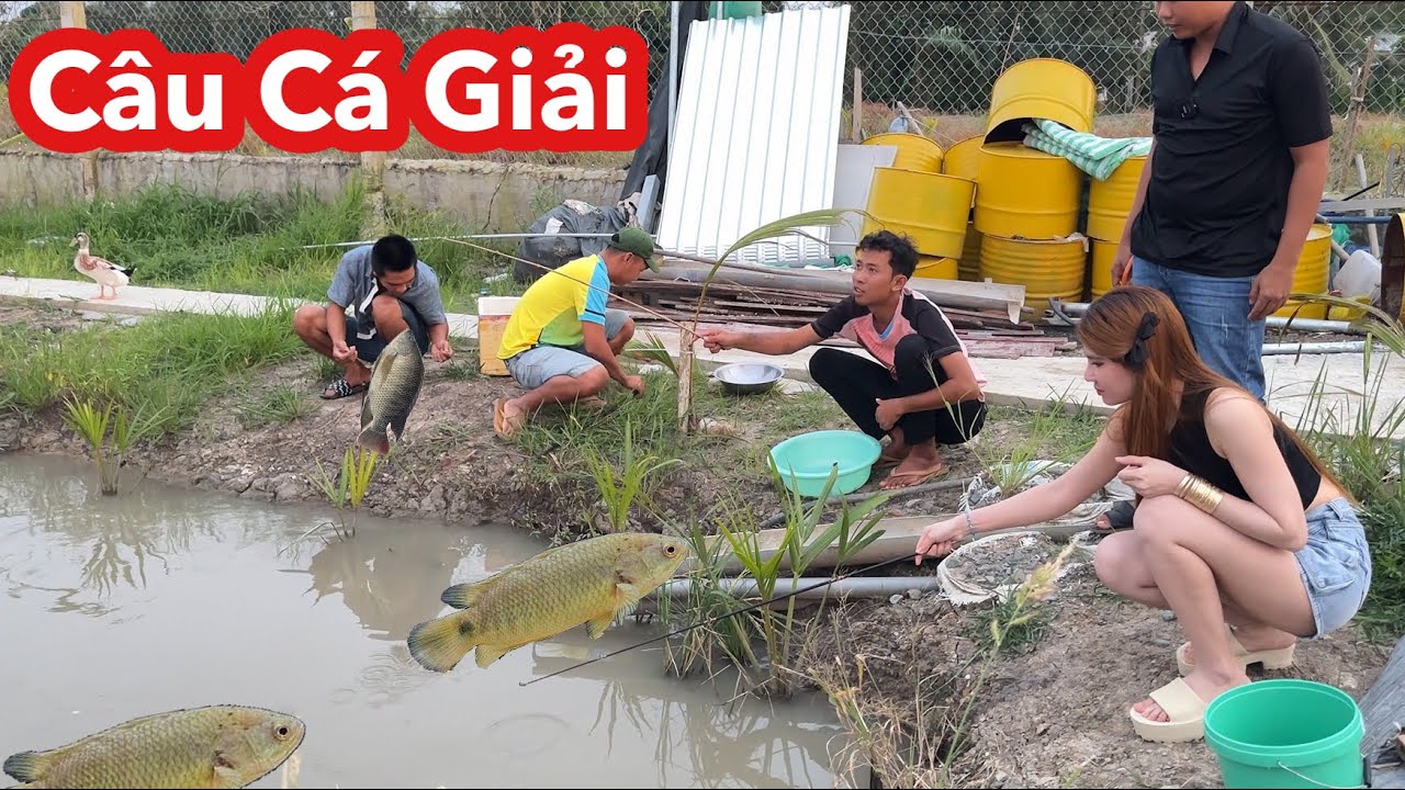 Câu Cá Giải Nhận Tiền Khủng, Câu Cá Giật Liên Tục Nhìn Thôi Đã Mê | Ly Ngô Vlog