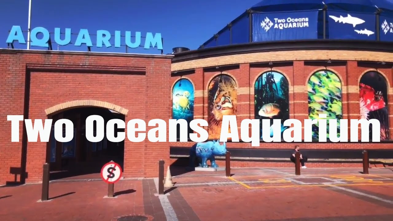 Two Oceans Aquarium, Cape Town, South Africa