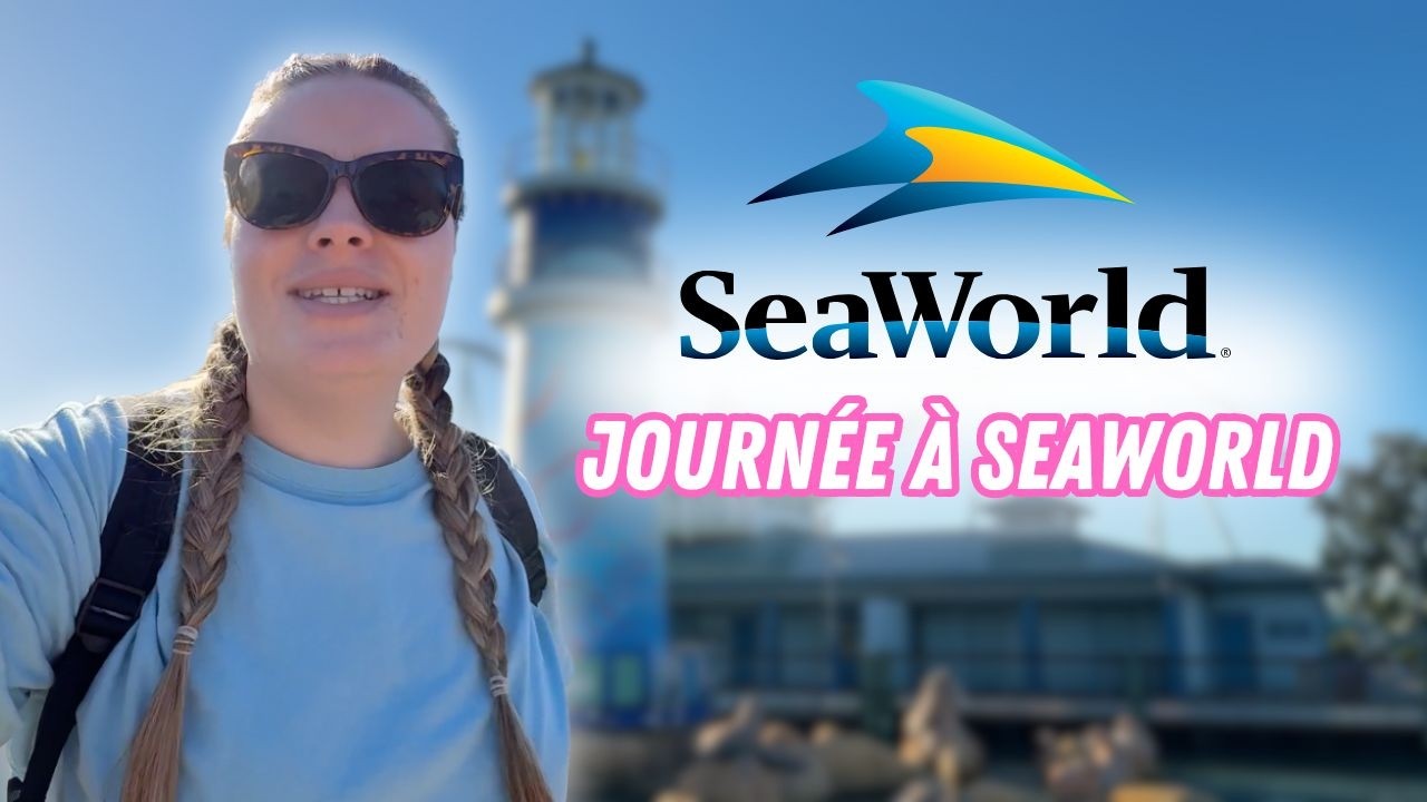 Journée à SeaWorld Orlando | On test le Sharks Underwater Grill 🦈 | Vlog 4 | Séjour à Orlando