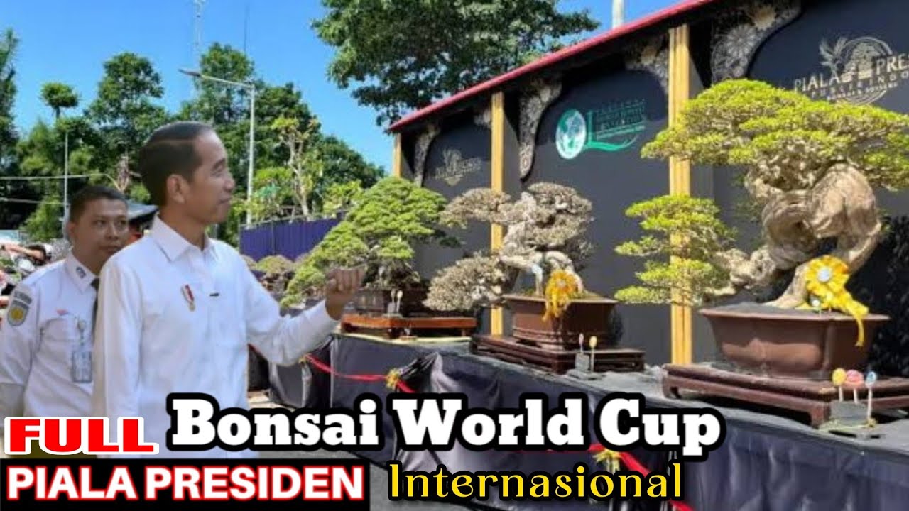PIALA Presiden Jokowi BONSAI Wold Cup Pameran & Kontes Kelas Internasional PERTAMA Di SBY INDONESIA