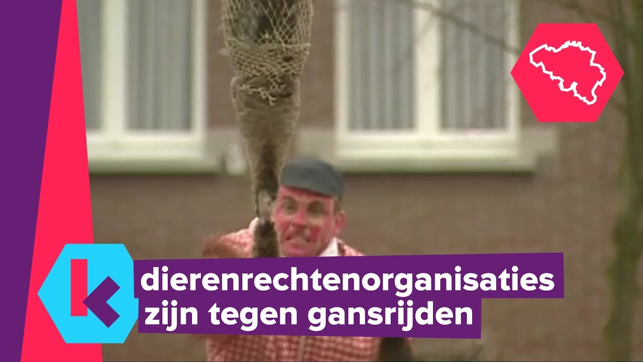 gebruik geen dode gans voor het gansrijden