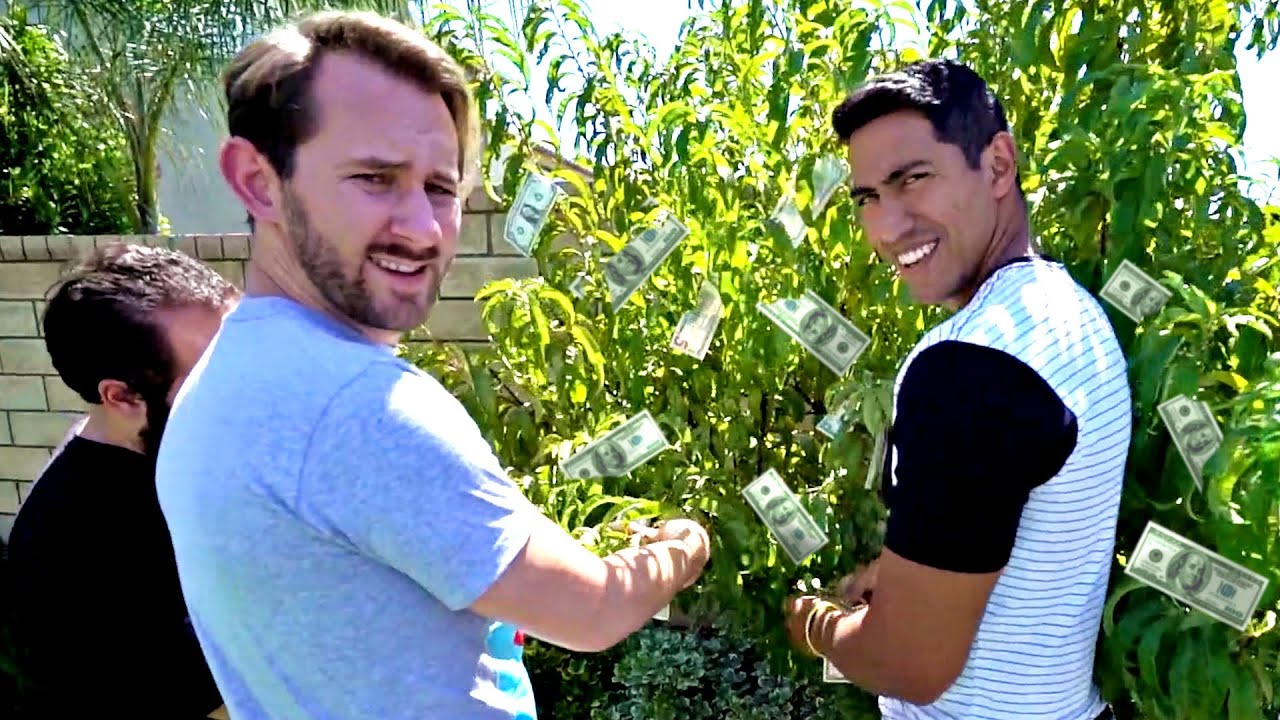We Found A MONEY TREE!