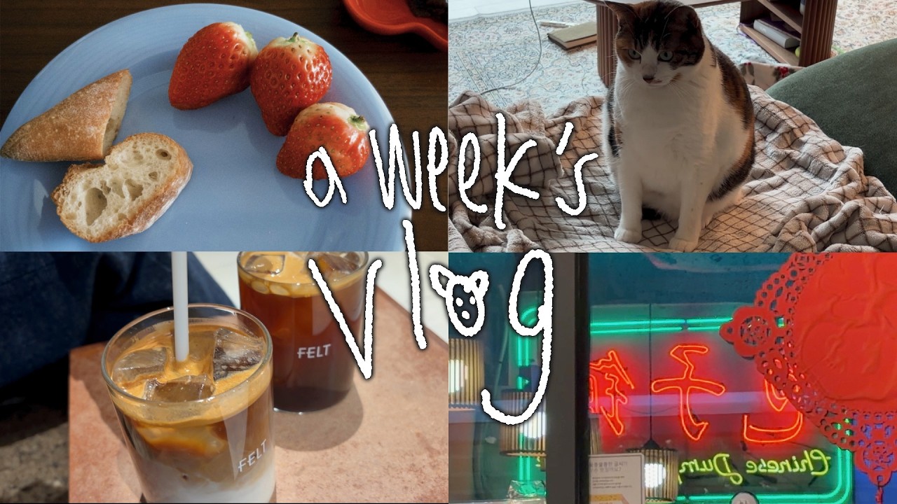 일주일기록 | 🥕야채 깡, 2월의 마지막주 야무지게 먹고 쉬기🌞