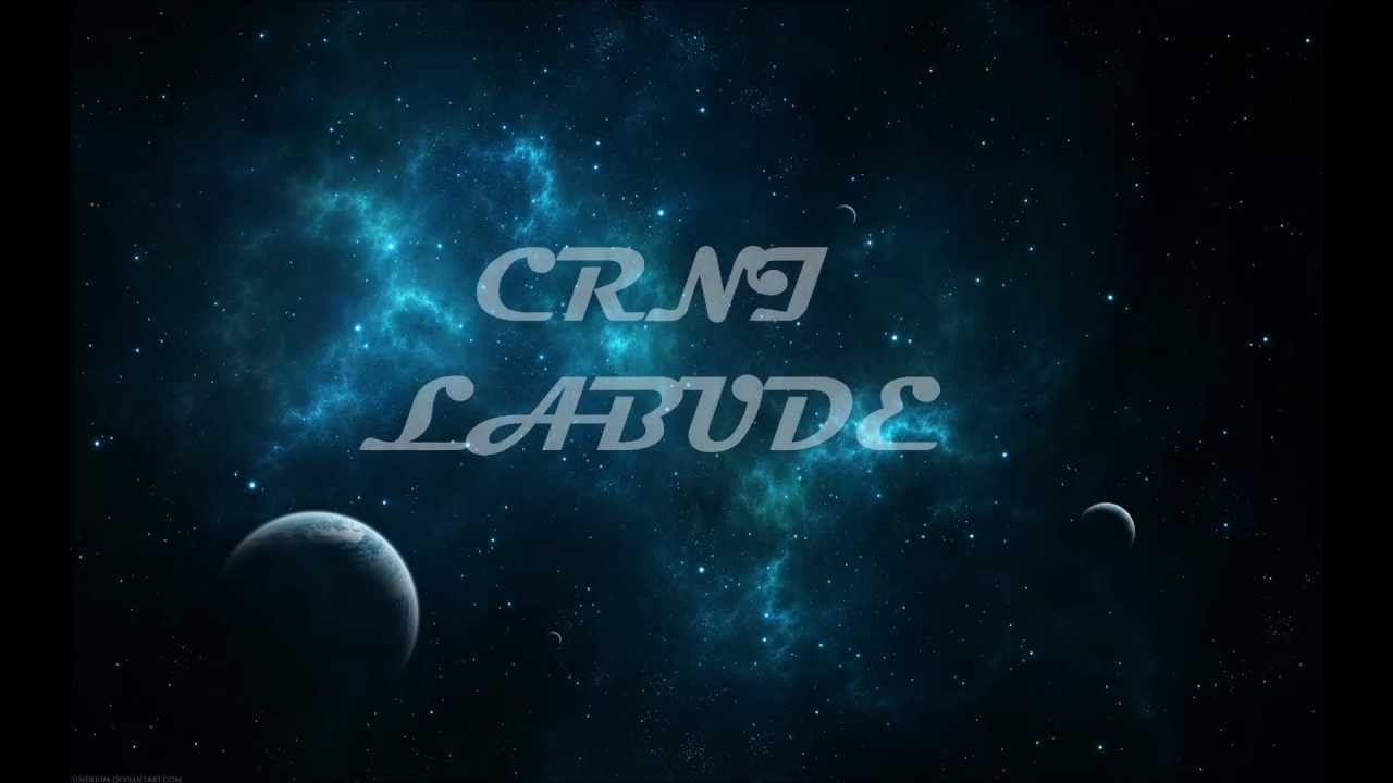 Dzenan Loncarevic 2013 - Crni Labude OFFICIAL HQ [LYRIC]