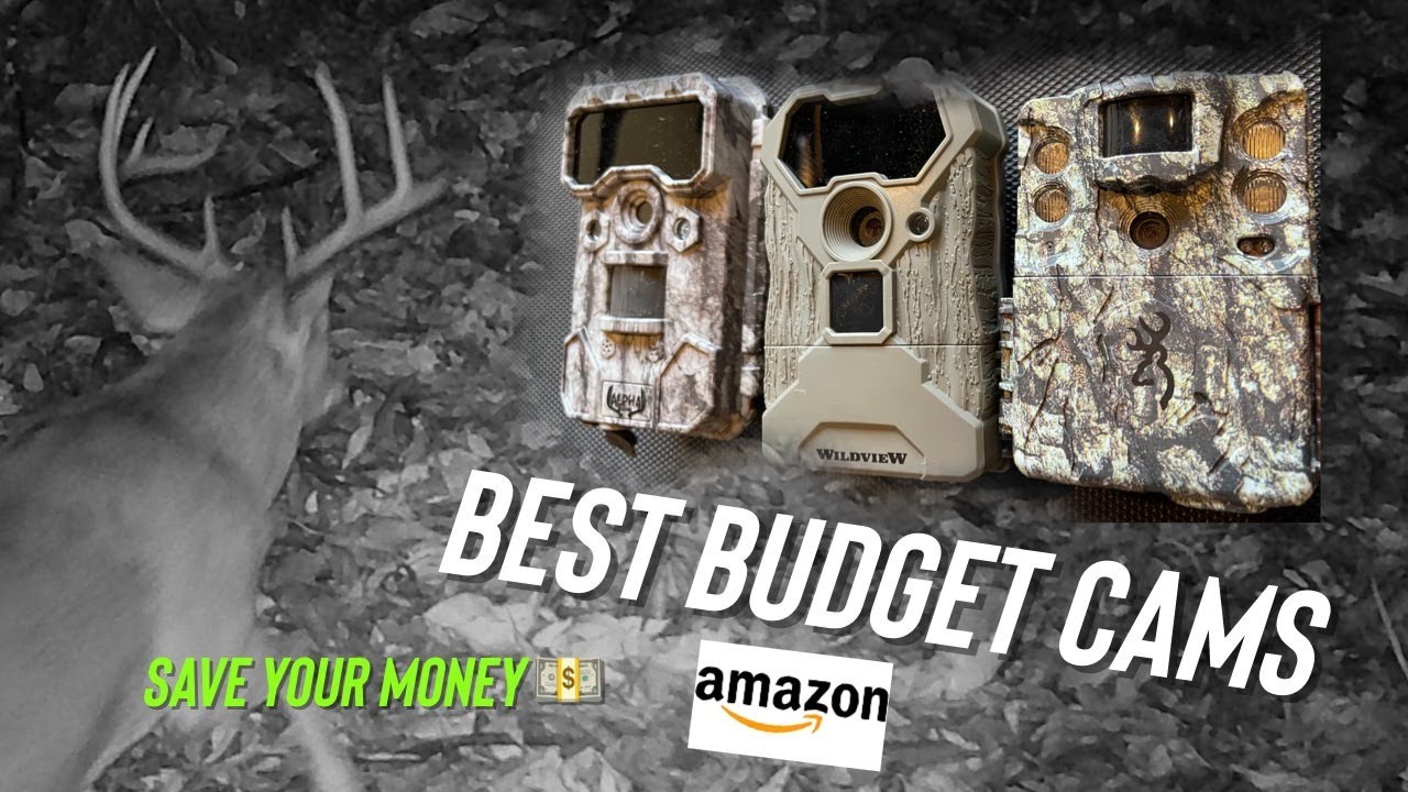 The Best Budget Trail Cams for Deer Hunting in 2024