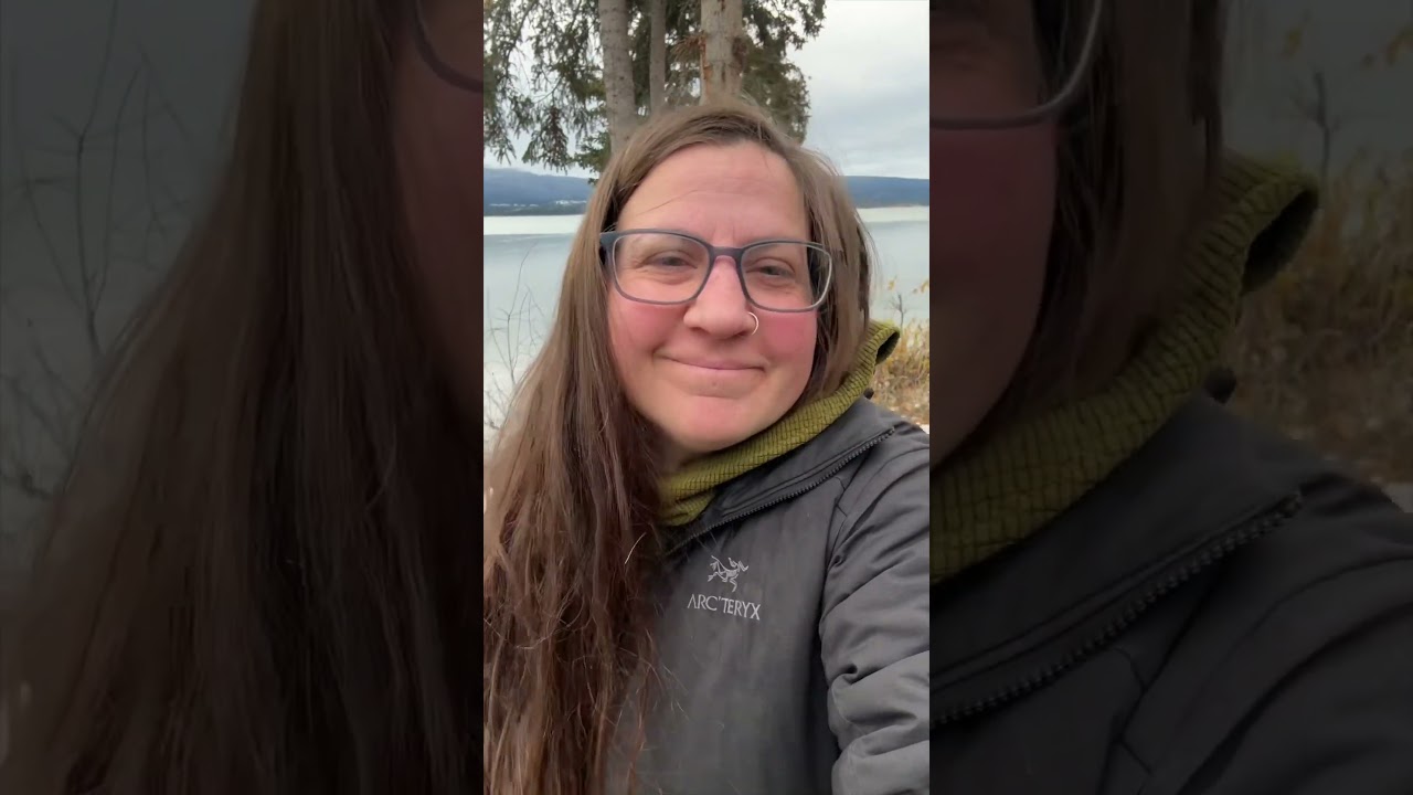 Real time update 🥶❄️ #vanlife #solofemalevanlife #wintervanlife