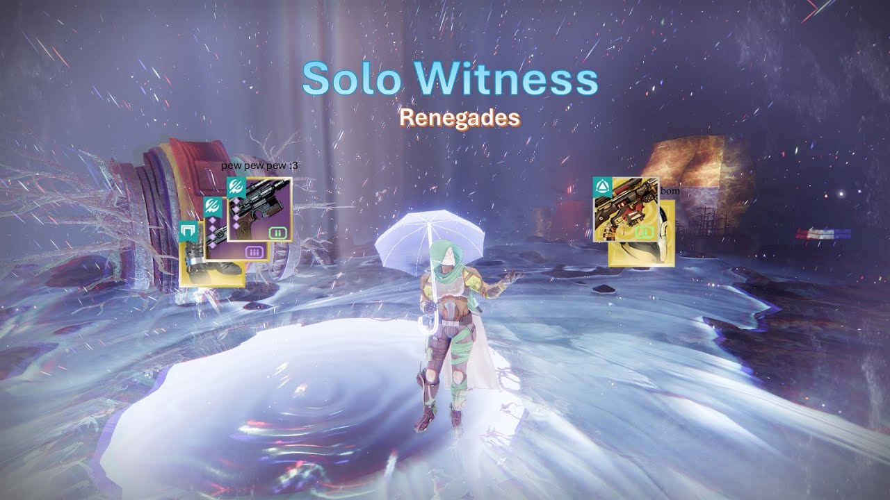 Solo Witness on Hunter | Destiny 2 Renegades