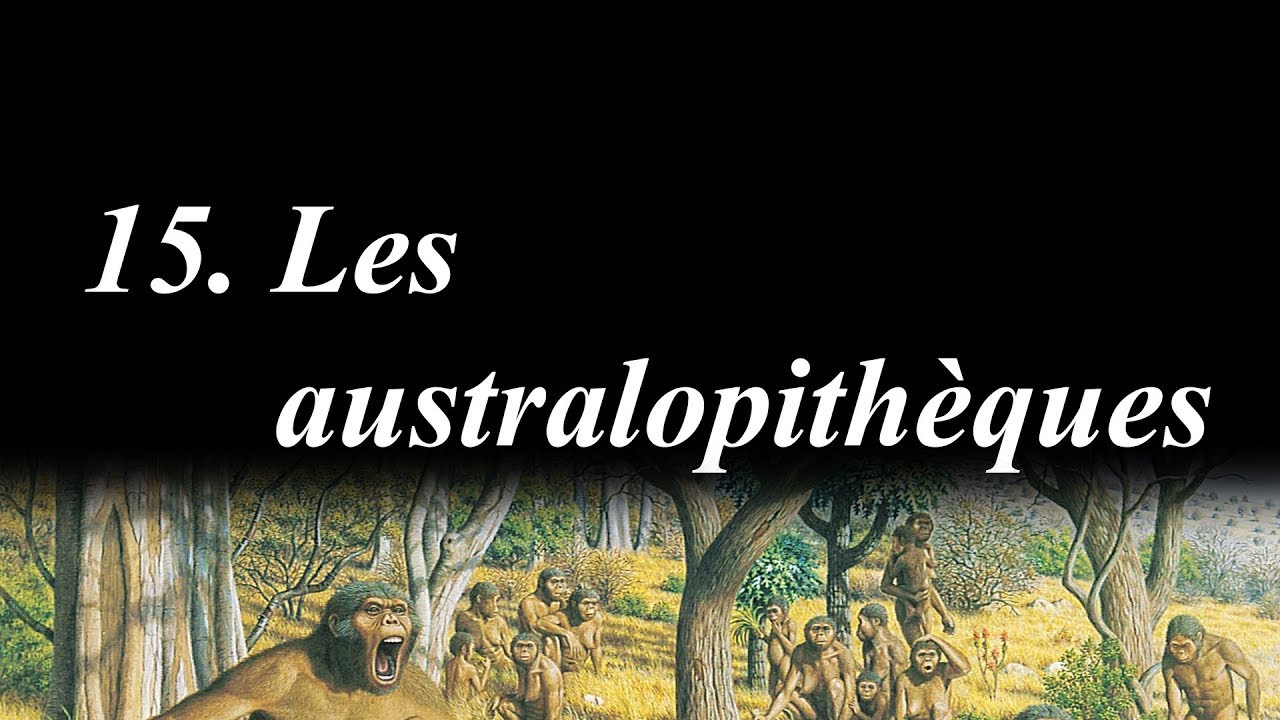 Du big bang &agrave; Rosalie (15/36) : Les australopith&egrave;ques