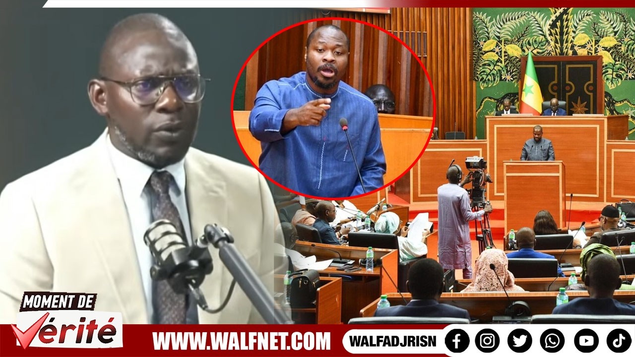 Assemblée Nationale : Ismaila Diallo Explique L'origine De Ses Bisbilles Avec Guy Marius Sagna