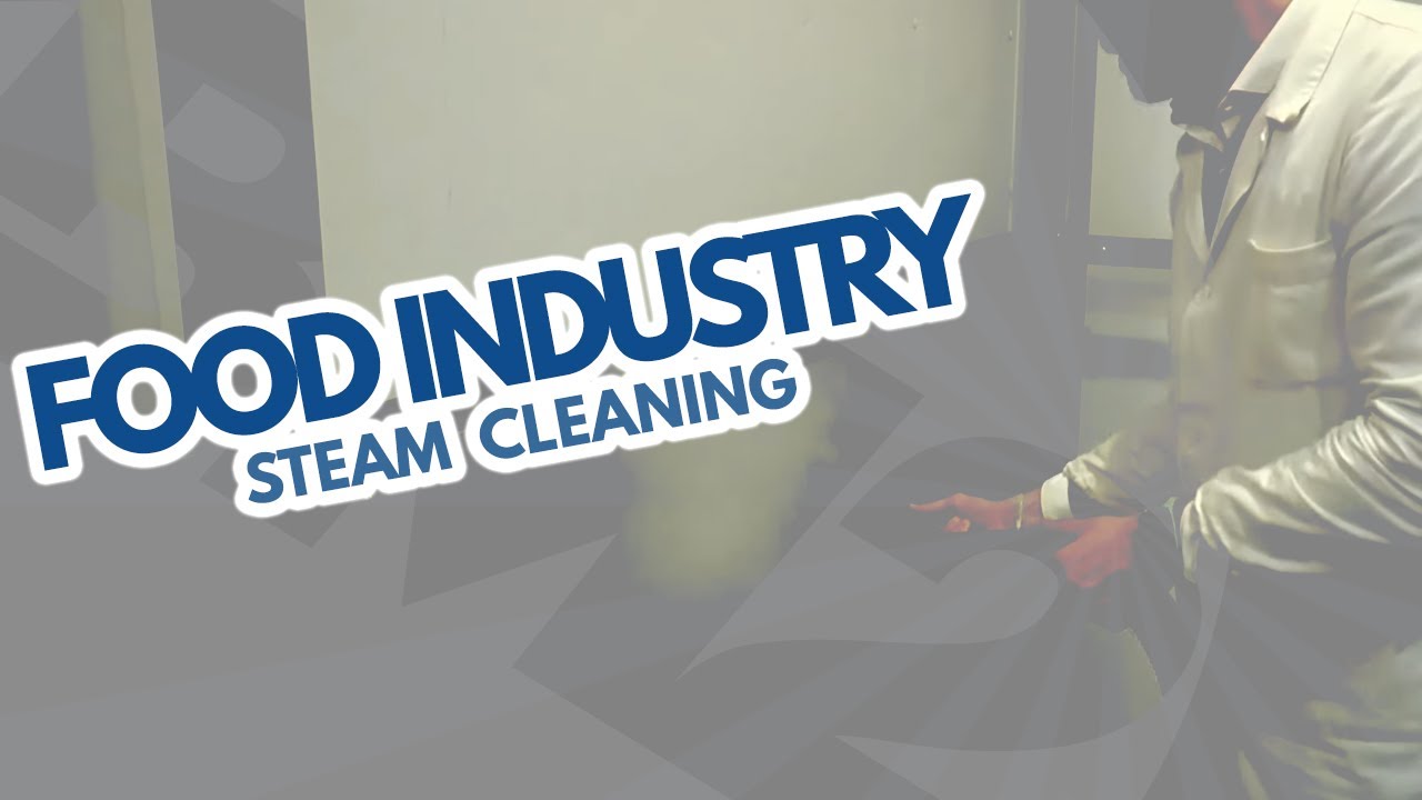 STEAM CLEANERS FOR THE FOOD INDUSTRY
