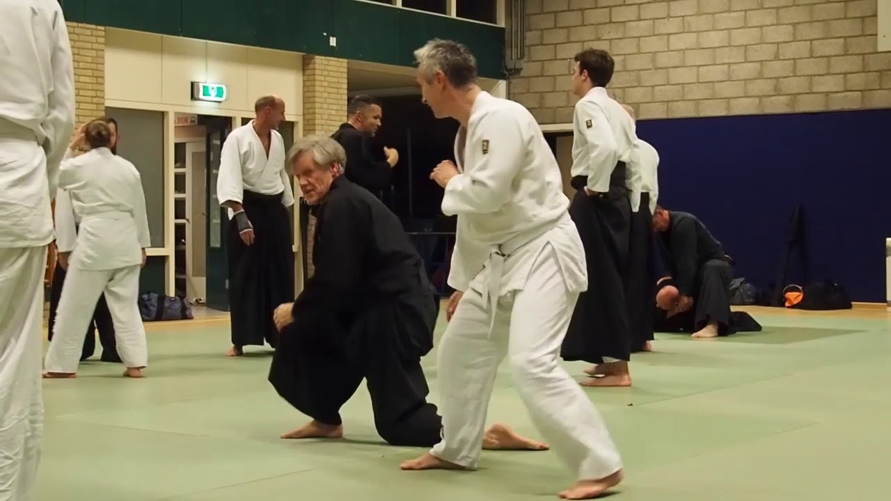 Aikido in Poortugaal