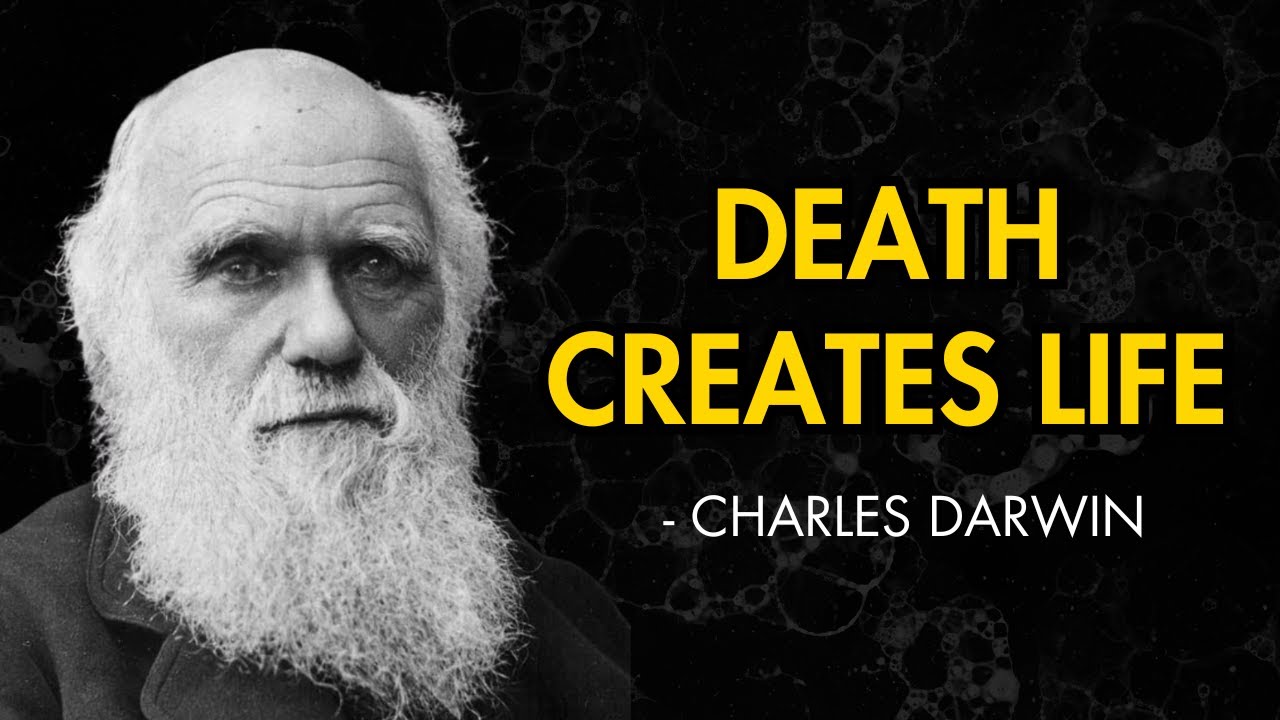 Why Death Is The ENGINE Of All Life? What Darwin Uncovered Will COLLAPSE Your Mind