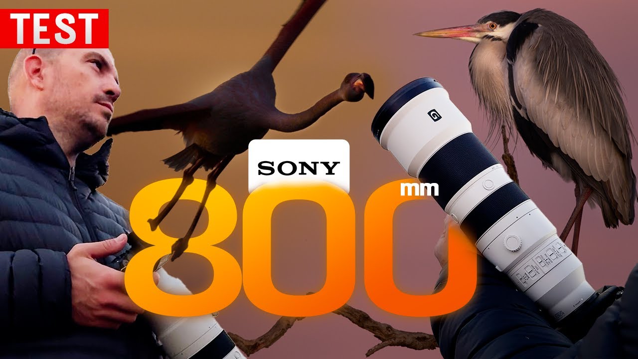 Sony FE 400-800mm F6.3-8 G : le MEILLEUR zoom animalier ? (TEST TERRAIN)