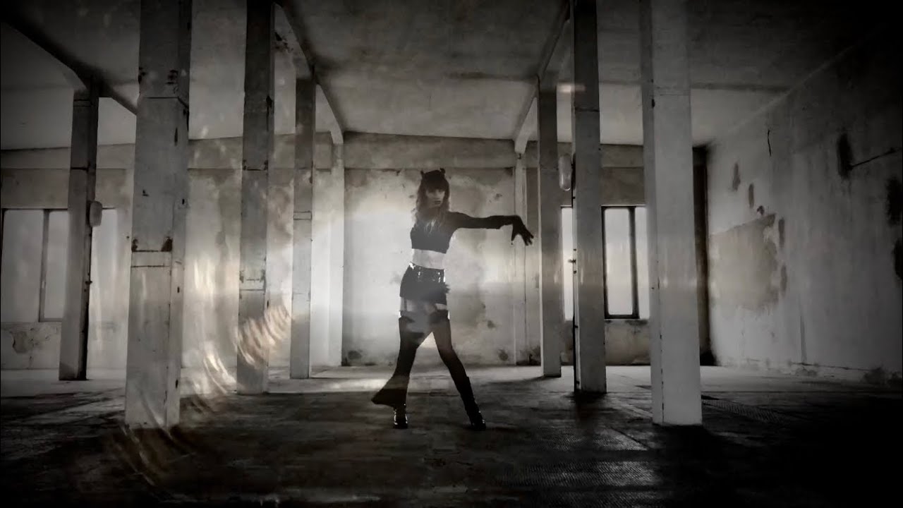 Sterbehilfe (2006) \\ interpreted Wynardtage (Industrial Dance)