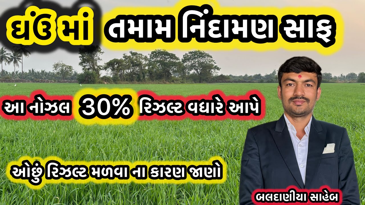 ઘઉં માં નીંદામણ નિયંત્રણ ગોળ અને લાંબા બંને પ્રકાર ના નીંદામણ નો સફાયો @MANISHBALDANIYA 