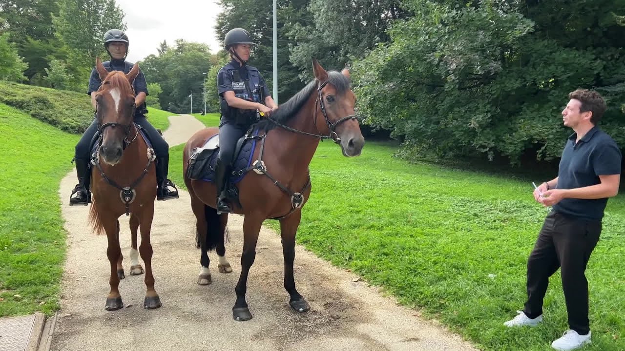 &Ccedil;a Se Passe Ici - M&acirc;con (Sa&ocirc;ne-et-Loire), des agents municipaux &agrave; cheval