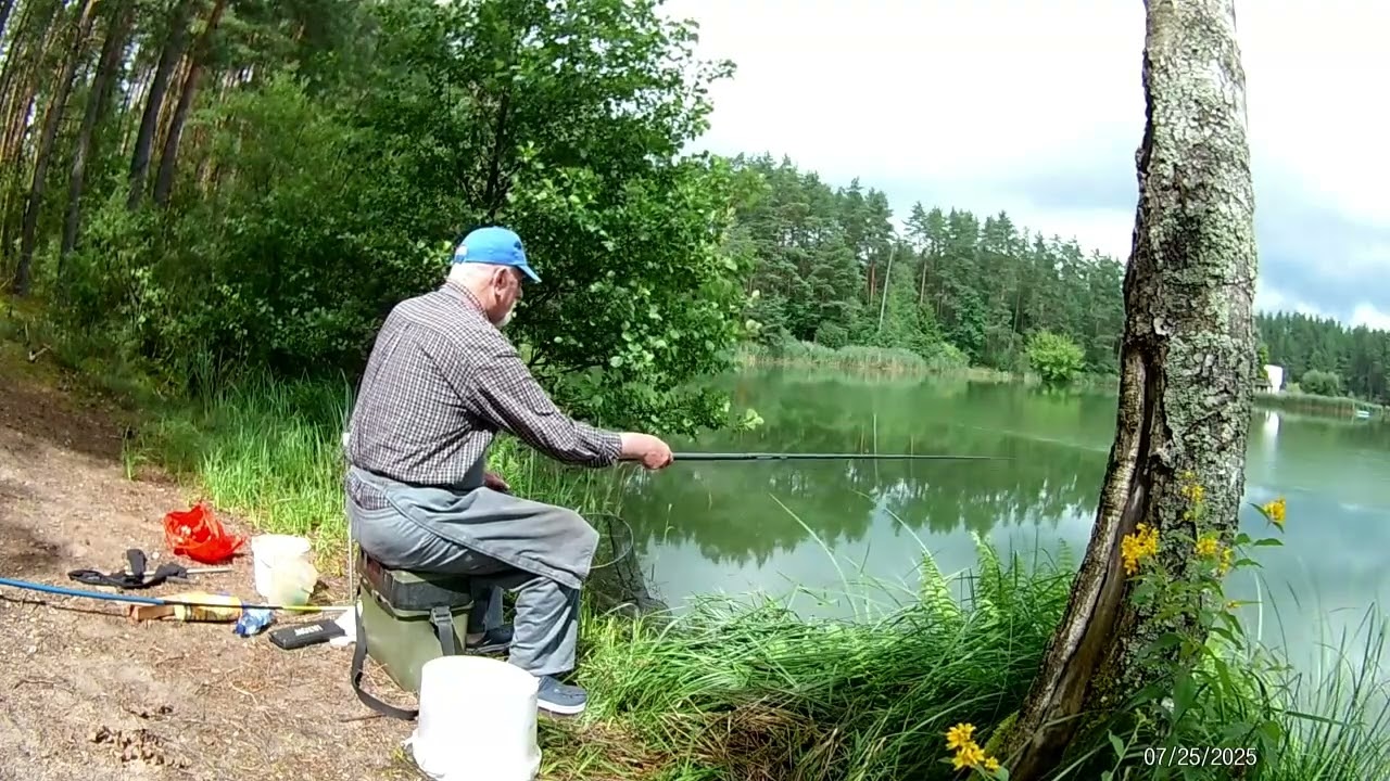 Kantrybes P Ž