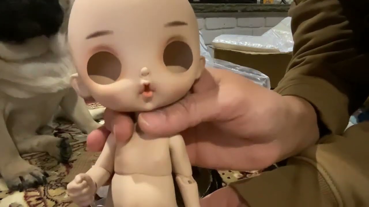 New BJD doll from Aliexpress! Sorry for all the Doggy , interruptions! ( doll content)