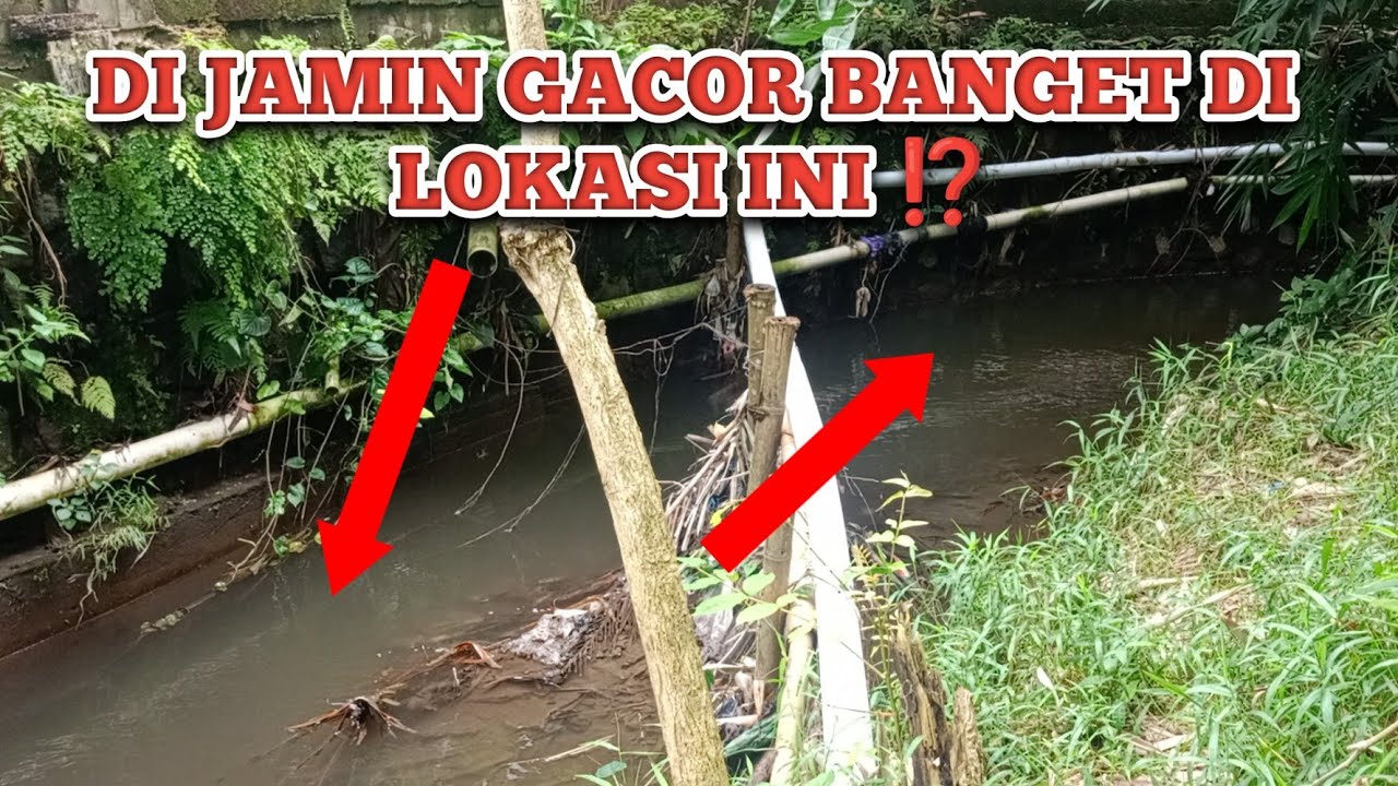 DI JAMIN GACOR MANCING DI LOKASI INI ⁉️ MENCOBA KEBERUNTUNGAN MANCING MENELUSURI SUNGAI KECIL 