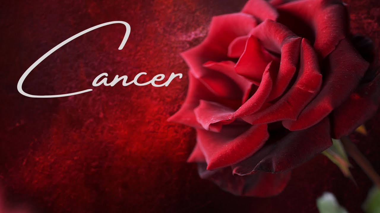 Cancer 💖~A Shocking Truth Gets Revealed They Finally Decide To Come Clean!! (UNBELIEVABLE EXT!!)