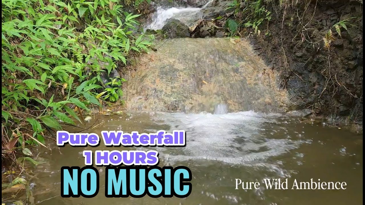1 Hour Relaxing Waterfall ASMR - Pure Water Sounds for Stress Relief & Anxiety