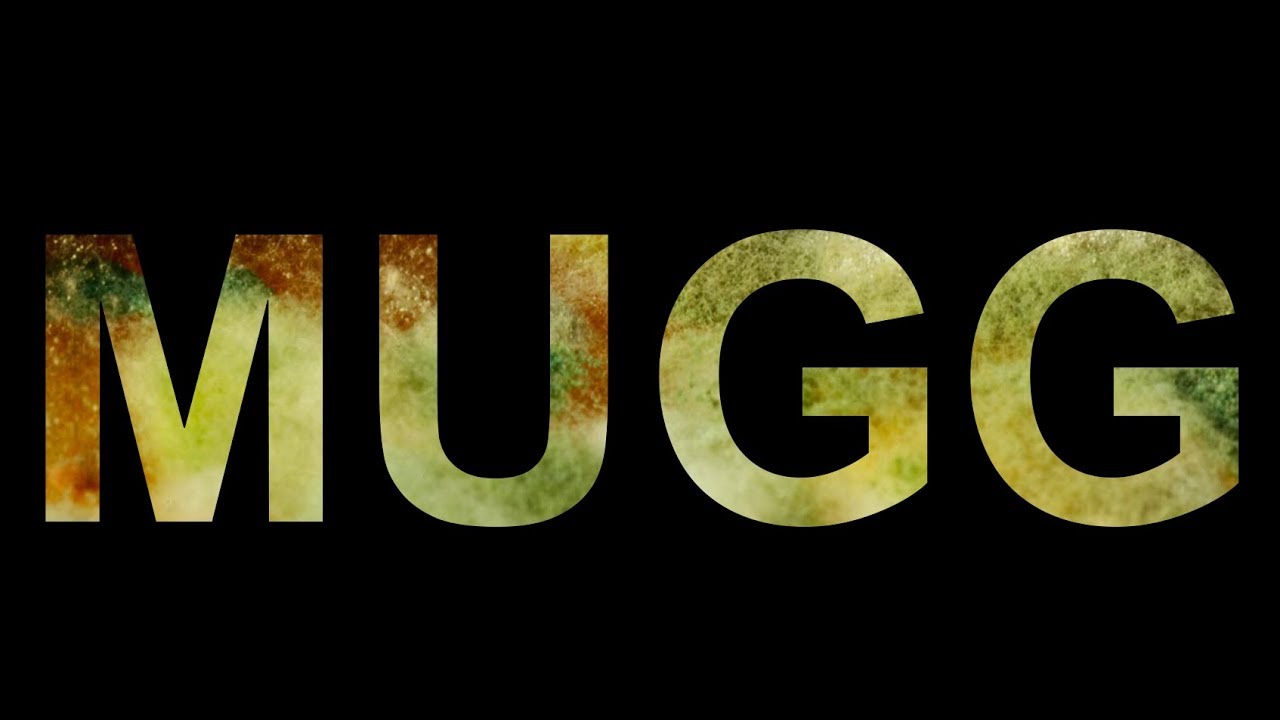 Mugg og inneklima