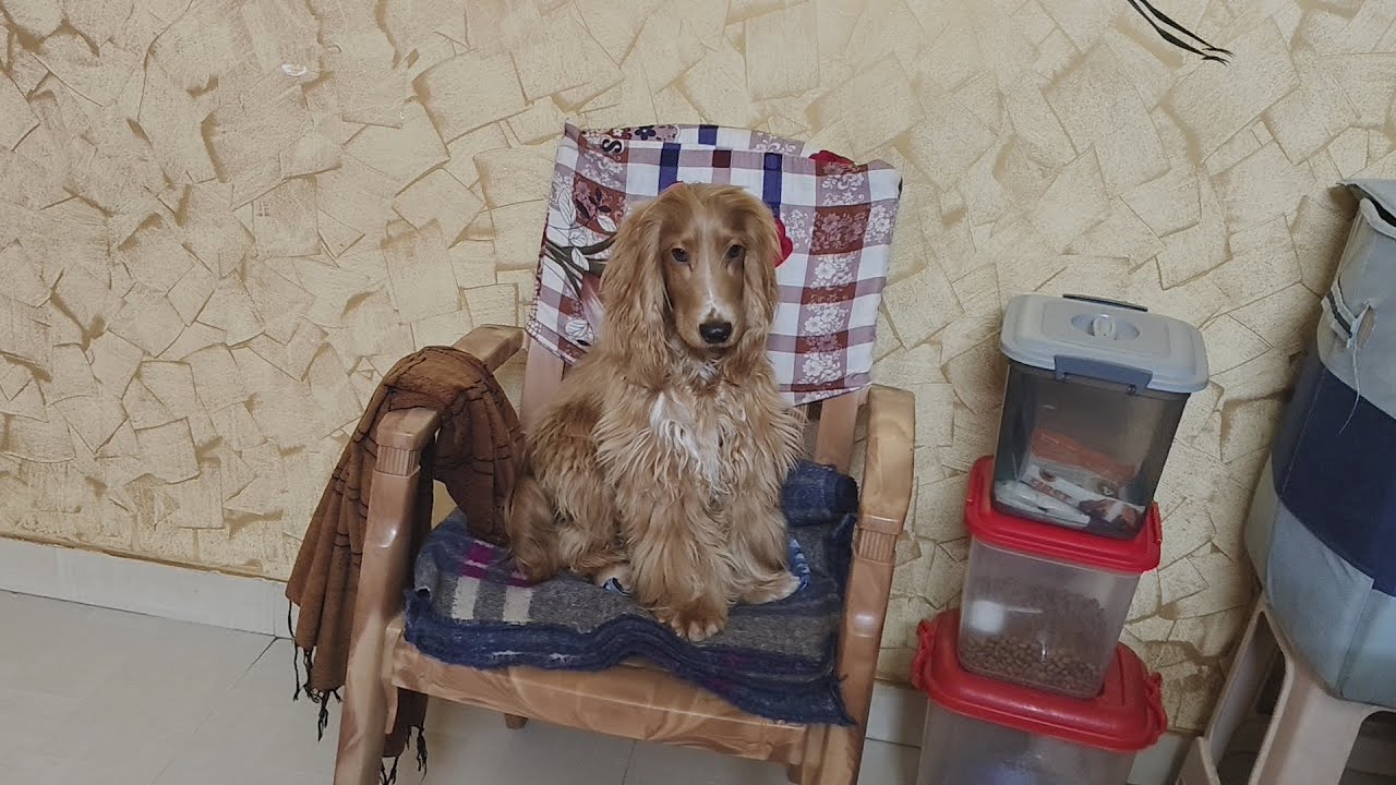 Dui jon r dustumi ses nei,sob kichu najar kora chai