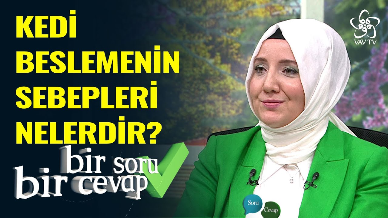 Çok Fazla Kedi Beslemenin Sebepleri Nelerdir? | Kendini Bilmek (186. Bölüm)