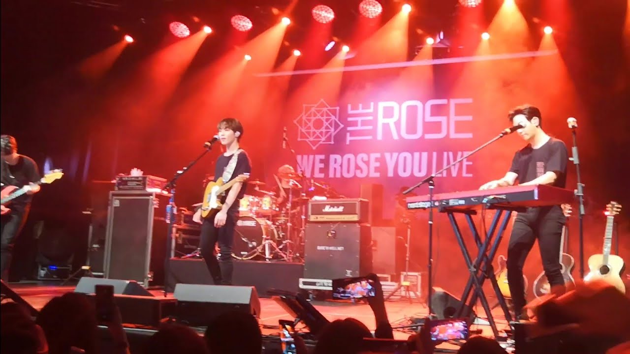 The Rose - RED [Live in Warsaw]
