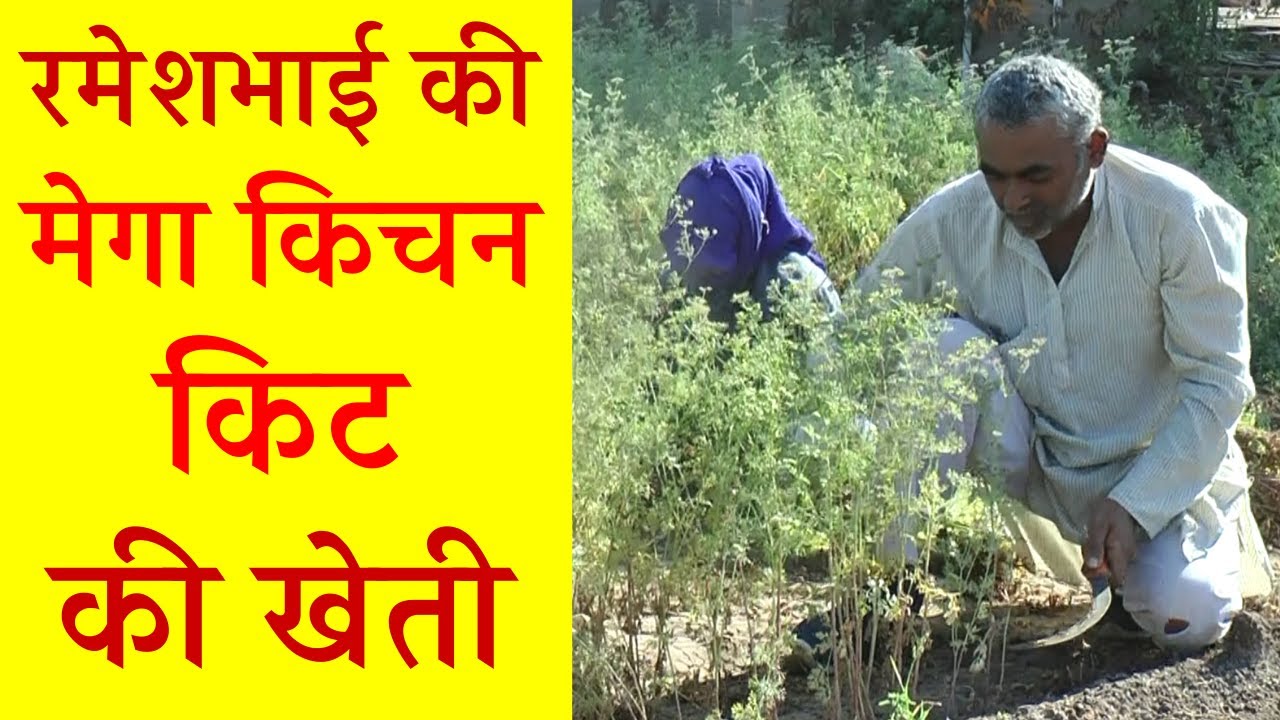 Rameshbhai's Mega Kitchen Kit Farming
