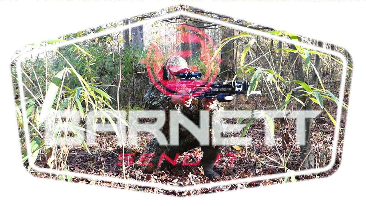 Barnett Explorer XP 405 Unboxing