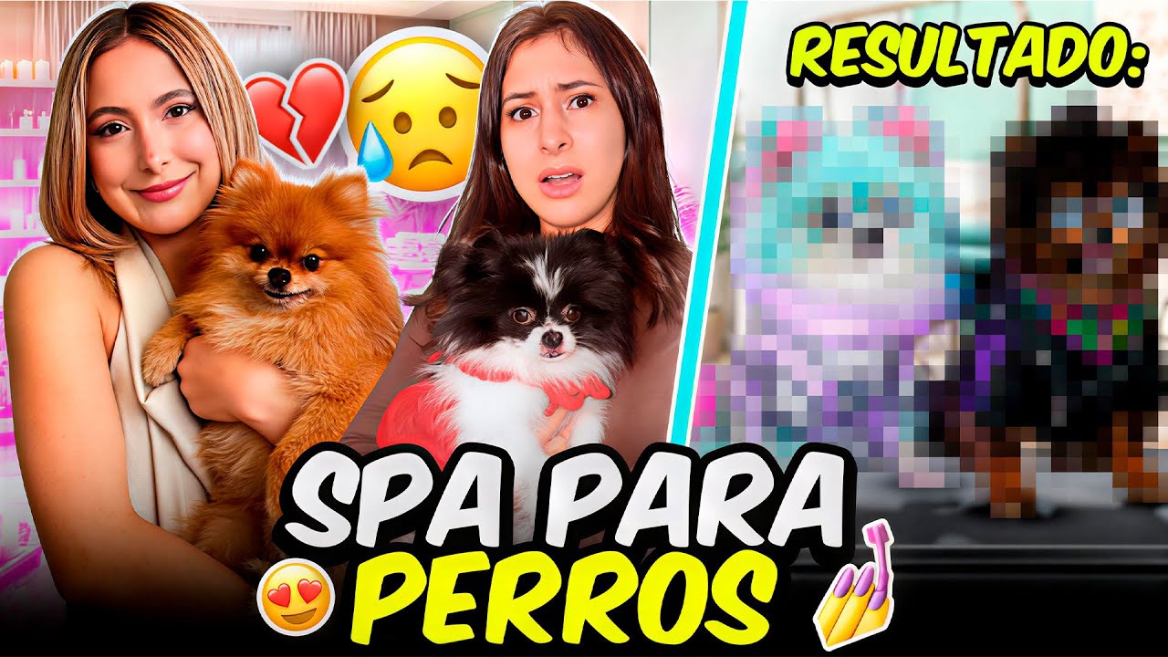  LE HACEMOS UN CAMBIO DE LOOK A NUESTRAS PERRITAS ❤️🐶| Hermanas JM 